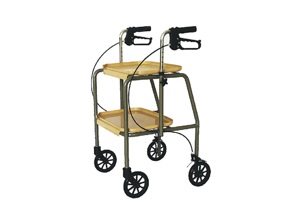 RS029